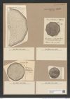 Stictodiscus multiplex (A. S.) JAnisch (de-Toni-Nr.: Genus 205, Species 5265) Zeichnungen Sammlung Grunow Nr. 9056 (NHMW-BOT-W0378796)